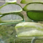 La Vera: guía completa de la comarca