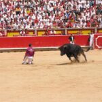 Descubre la plaza de toros de Toledo