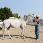 Explora Corral de Almaguer: lugares que ver y disfrutar