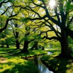 El bosque más mágico del País Vasco: hayas centenarias en un parque natural de 20 016 hectáreas