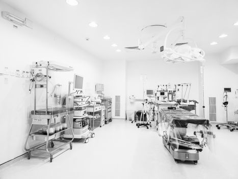 Personal del Hospital Angeles Del Carmen recibiendo el Distintivo H