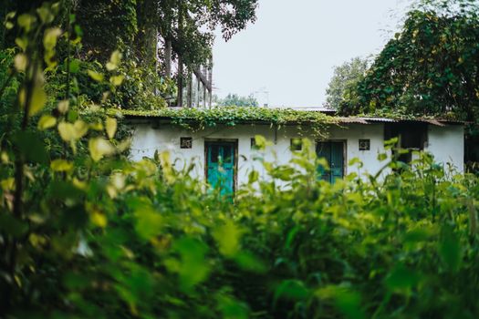 Casa con jardín, símbolo de la protección de GENERALI Hogar Confortable