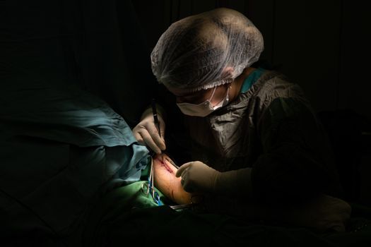 Terapeutas trabajando en hospital de turismo médico en México