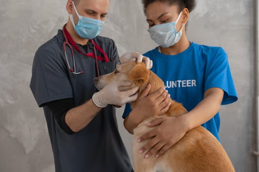 Imagen de un chequeo médico en Paquetes Check up Angeles