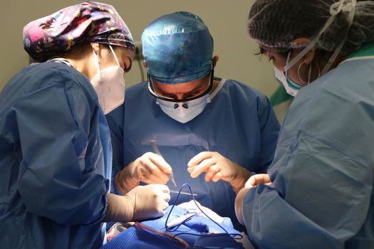 Personal médico del Hospital Angeles Lomas en acción